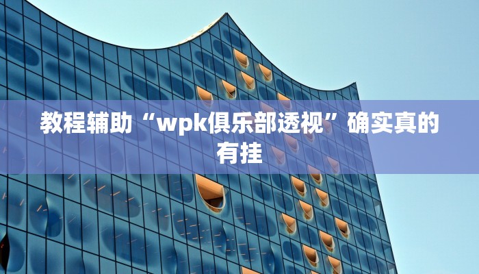 教程辅助“wpk俱乐部透视”确实真的有挂