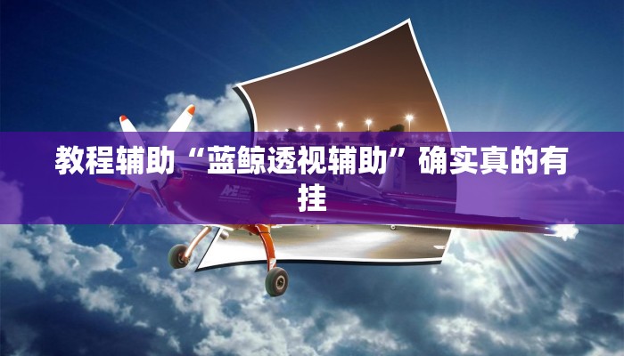 教程辅助“蓝鲸透视辅助”确实真的有挂