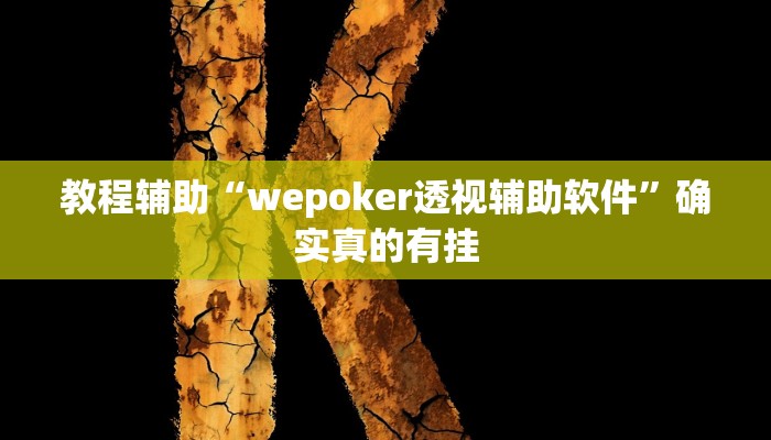 教程辅助“(WePoKer)到底有透视软件挂吗”(原来确实是有挂)