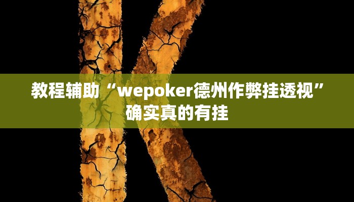 教程辅助“wepoker德州作弊挂透视”确实真的有挂