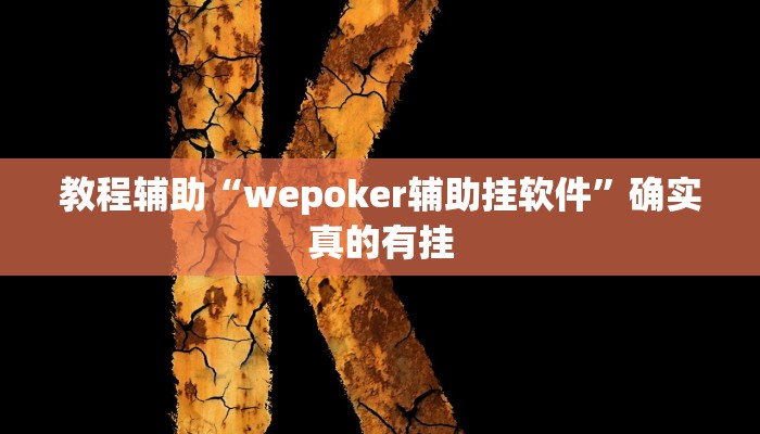 教程辅助“wepoker辅助挂软件”确实真的有挂
