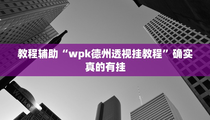 教程辅助“wpk德州透视挂教程”确实真的有挂