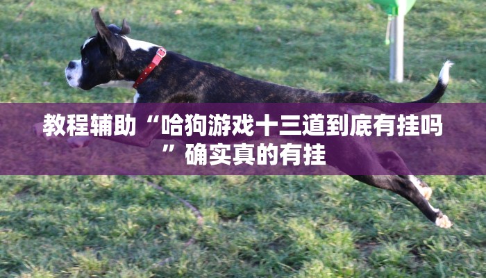 教程辅助“心悦麻将怎么开挂作弊”确实真的有挂