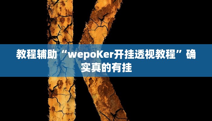 教程辅助“wepoKer开挂透视教程”确实真的有挂