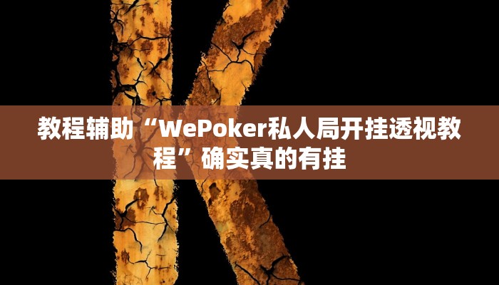 教程辅助“WePoker私人局开挂透视教程”确实真的有挂