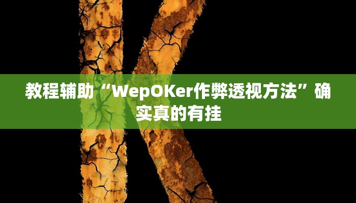 教程辅助“WepOKer作弊透视方法”确实真的有挂