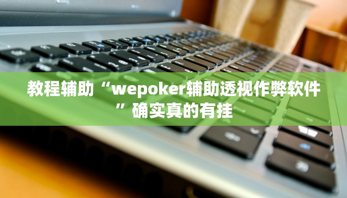 教程辅助“wepoker辅助透视作弊软件”确实真的有挂