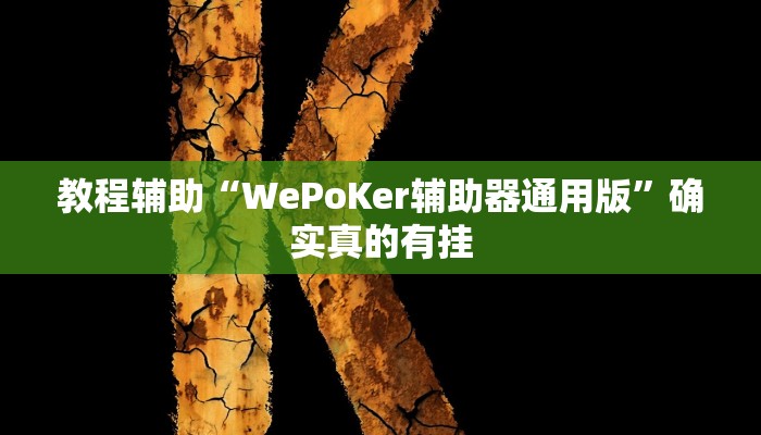 教程辅助“WePoKer辅助器通用版”确实真的有挂