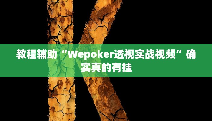 教程辅助“Wepoker透视实战视频”确实真的有挂