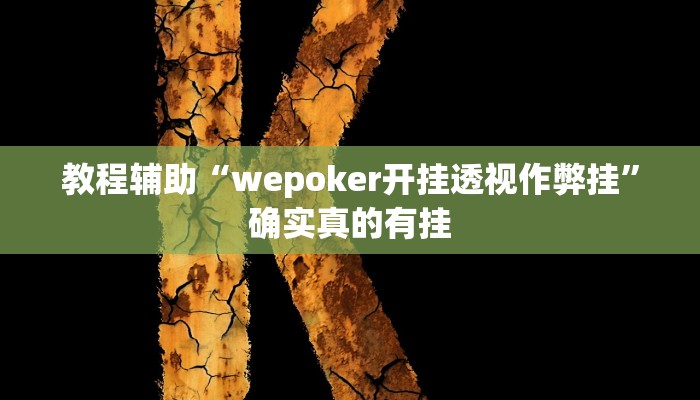 教程辅助“wepoker开挂透视作弊挂”确实真的有挂