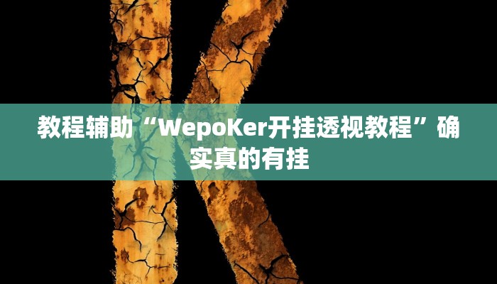 教程辅助“WepoKer开挂透视教程”确实真的有挂