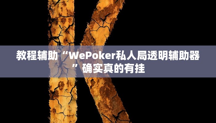 教程辅助“WePoker私人局透明辅助器”确实真的有挂