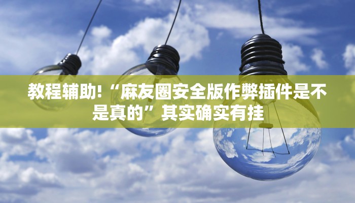 教程辅助!“麻友圈安全版作弊插件是不是真的”其实确实有挂