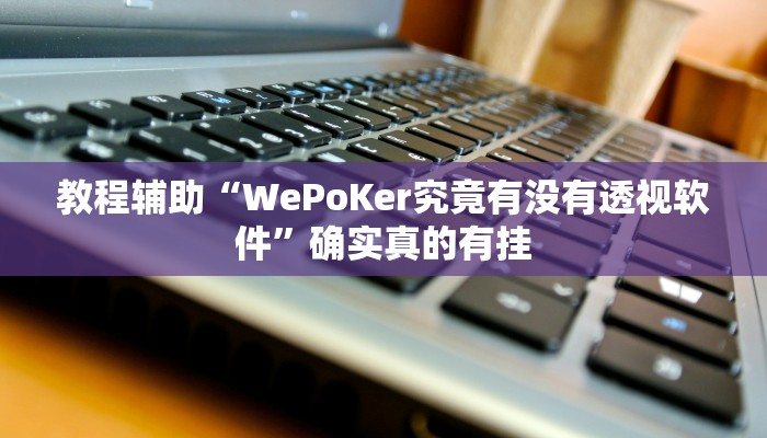 教程辅助“WePoKer究竟有没有透视软件”确实真的有挂