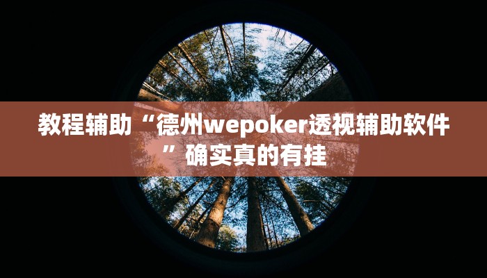 教程辅助“德州wepoker透视辅助软件”确实真的有挂