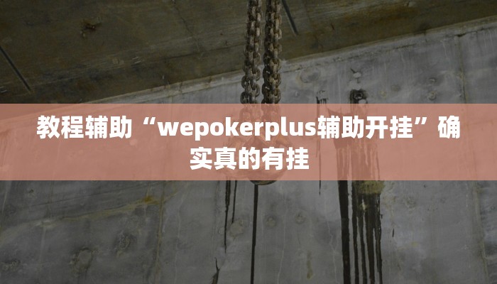 教程辅助“皮皮湖南麻将通用挂”(原来确实是有挂)