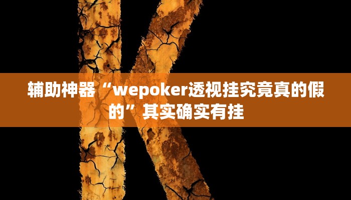 教程辅助“德扑之星透视教程”确实真的有挂