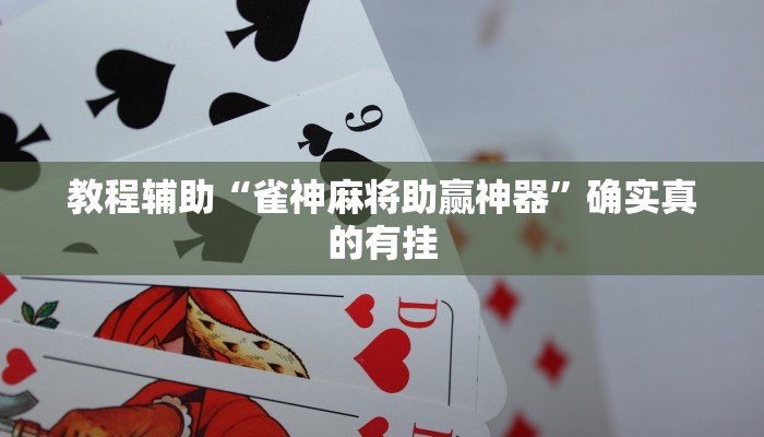教程辅助“雀神麻将助赢神器”确实真的有挂