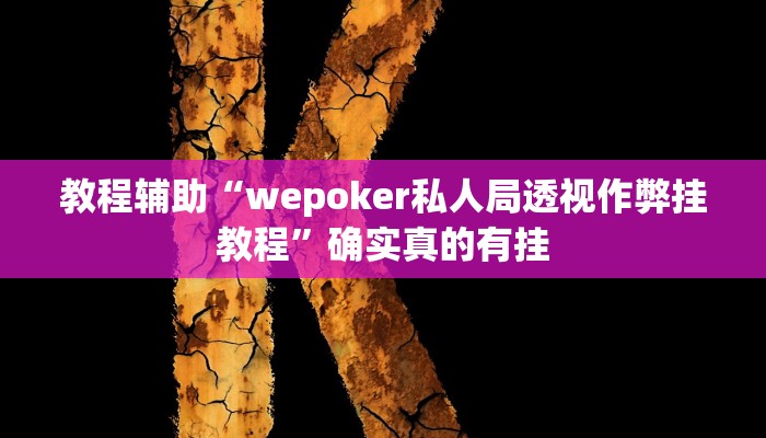 教程辅助“wepoker私人局透视作弊挂教程”确实真的有挂