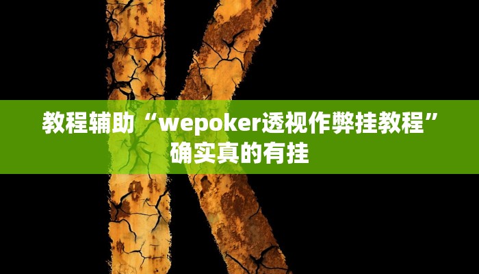 教程辅助“wepoker透视作弊挂教程”确实真的有挂