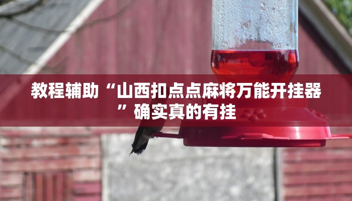 教程辅助“山西扣点点麻将万能开挂器”确实真的有挂