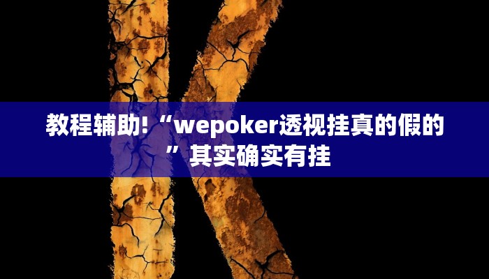 教程辅助“hhpoker到底可以作弊码”(原来确实是有挂)