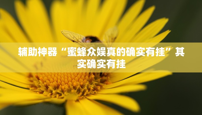 辅助神器“蜜蜂众娱真的确实有挂”其实确实有挂