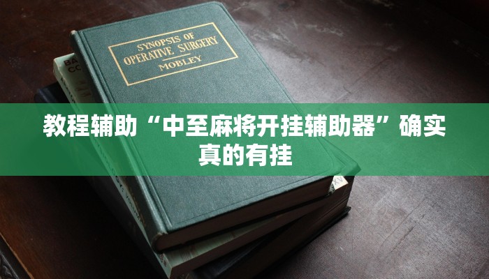 教程辅助“中至麻将开挂辅助器”确实真的有挂