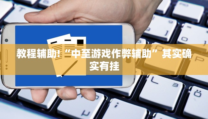 教程辅助!“中至游戏作弊辅助”其实确实有挂