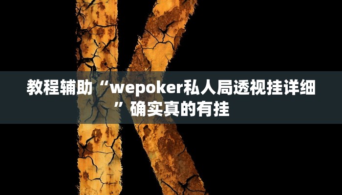 教程辅助“wepoker私人局透视挂详细”确实真的有挂