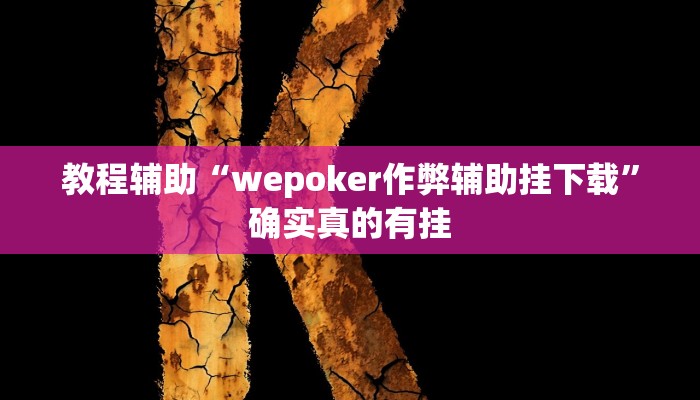 教程辅助“wepoker作弊辅助挂下载”确实真的有挂