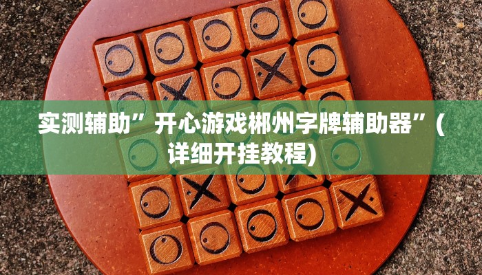 实测辅助”开心游戏郴州字牌辅助器”(详细开挂教程)