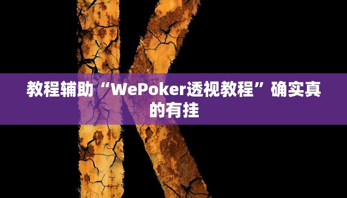 教程辅助“WePoker透视教程”确实真的有挂