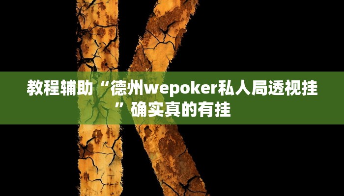 教程辅助“德州wepoker私人局透视挂”确实真的有挂