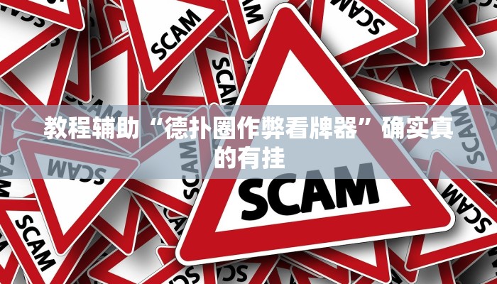 教程辅助“德扑圈作弊看牌器”确实真的有挂