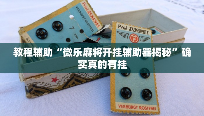 教程辅助“微乐麻将开挂辅助器揭秘”确实真的有挂