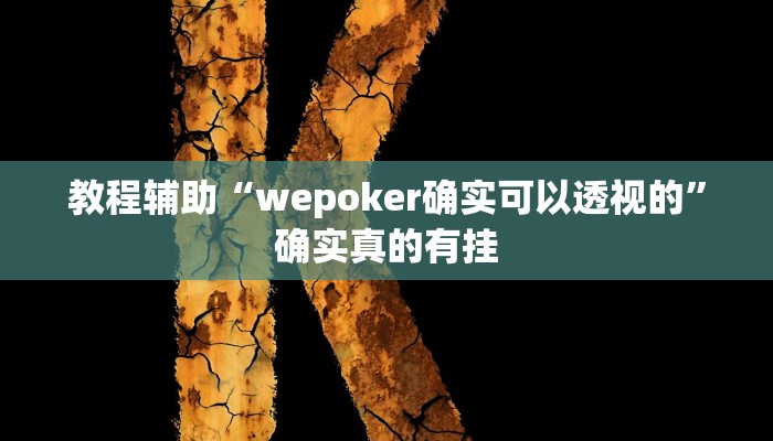 教程辅助“wepoker确实可以透视的”确实真的有挂