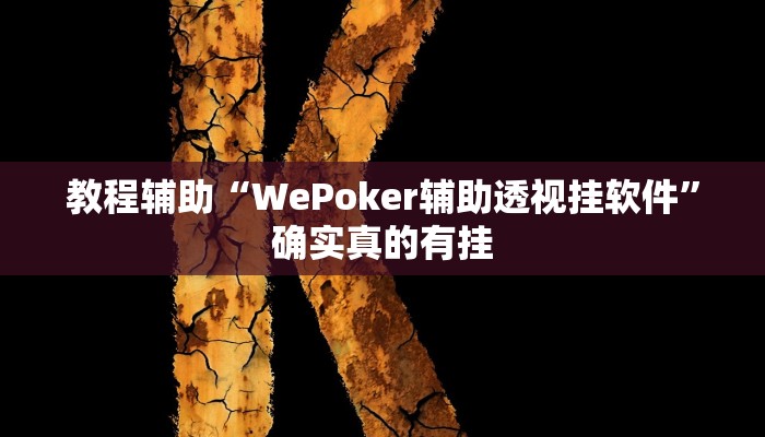 教程辅助“WePoker辅助透视挂软件”确实真的有挂