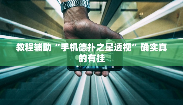 教程辅助“手机德扑之星透视”确实真的有挂