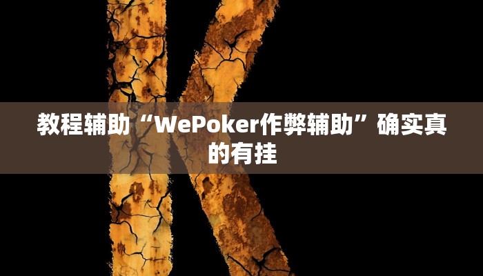 教程辅助“WePoker作弊辅助”确实真的有挂