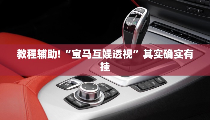 教程辅助!“宝马互娱透视”其实确实有挂