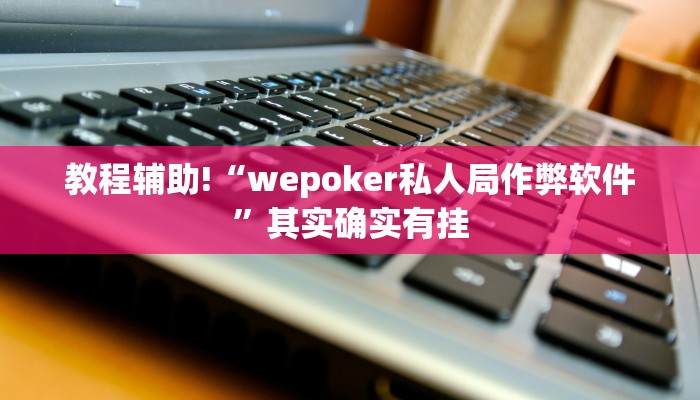 教程辅助!“wepoker私人局作弊软件”其实确实有挂