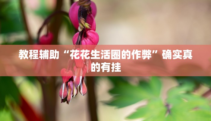 教程辅助“花花生活圈的作弊”确实真的有挂