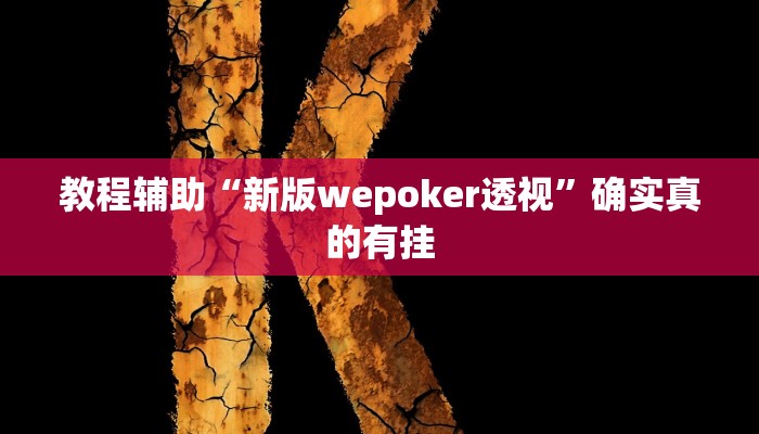 教程辅助“新版wepoker透视”确实真的有挂
