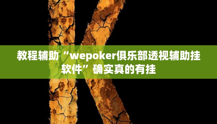 教程辅助“wepoker俱乐部透视辅助挂软件”确实真的有挂