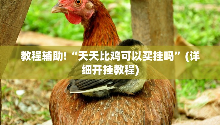 教程辅助!“天天比鸡可以买挂吗”(详细开挂教程)