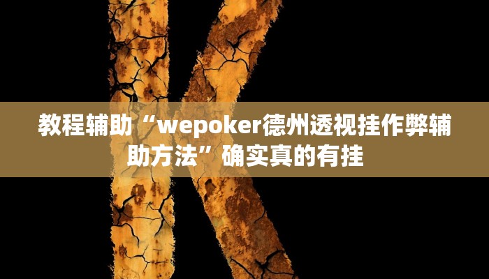 实测辅助”wepoker德州局透视挂专用”(详细开挂教程)
