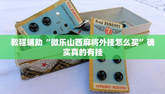 教程辅助“微乐山西麻将外挂怎么买”确实真的有挂