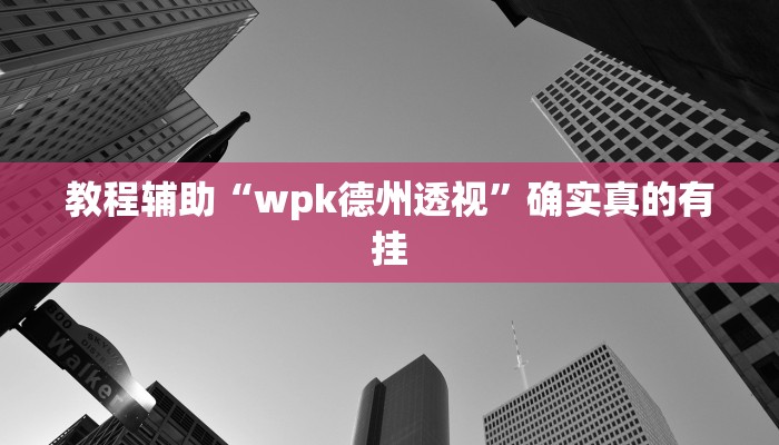 教程辅助“wpk德州透视”确实真的有挂