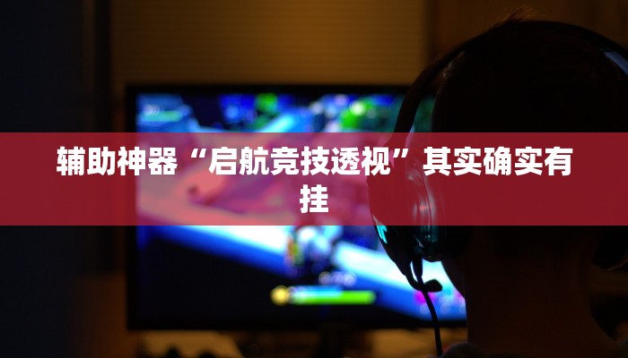 辅助神器“启航竞技透视”其实确实有挂